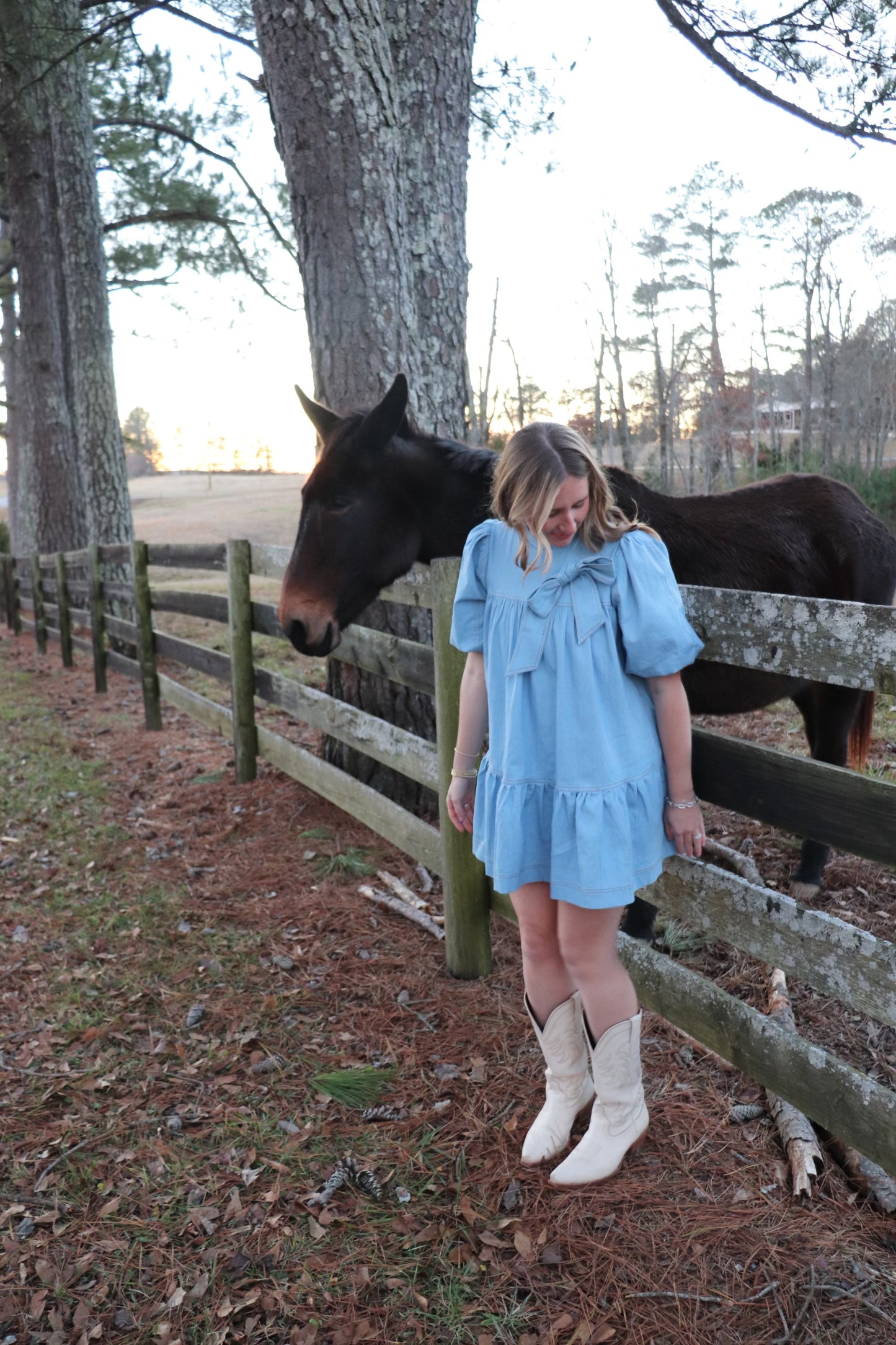 Signature Denim Dress