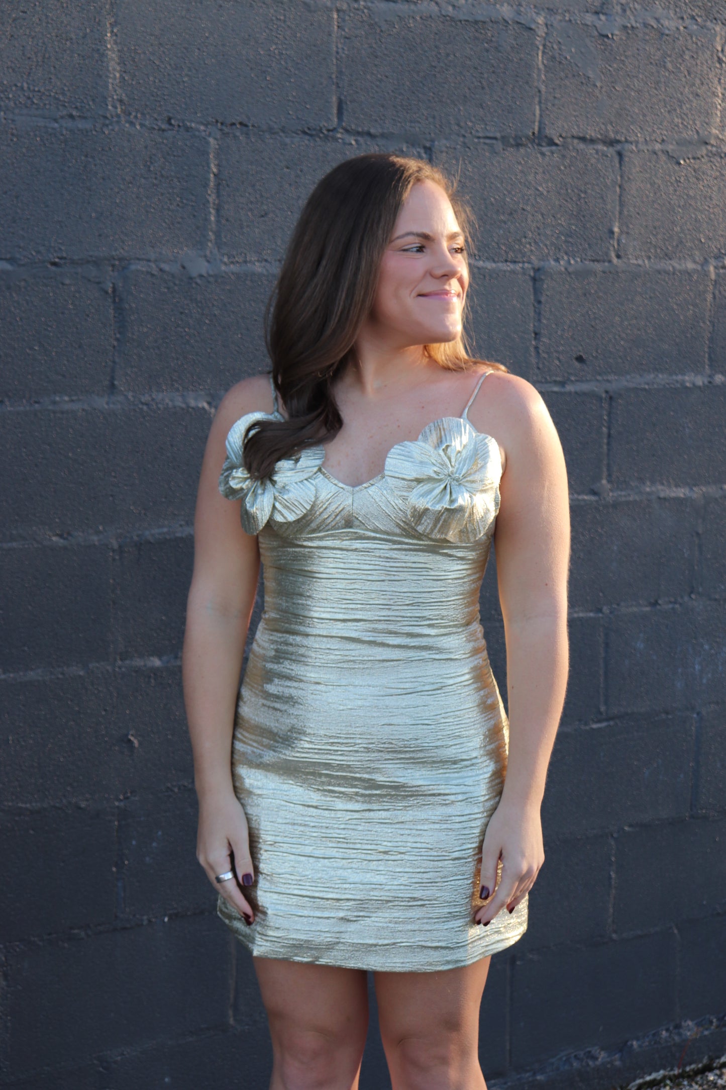 Gold Metallic Mini Dress